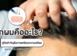 ปลูกผมคืออะไร